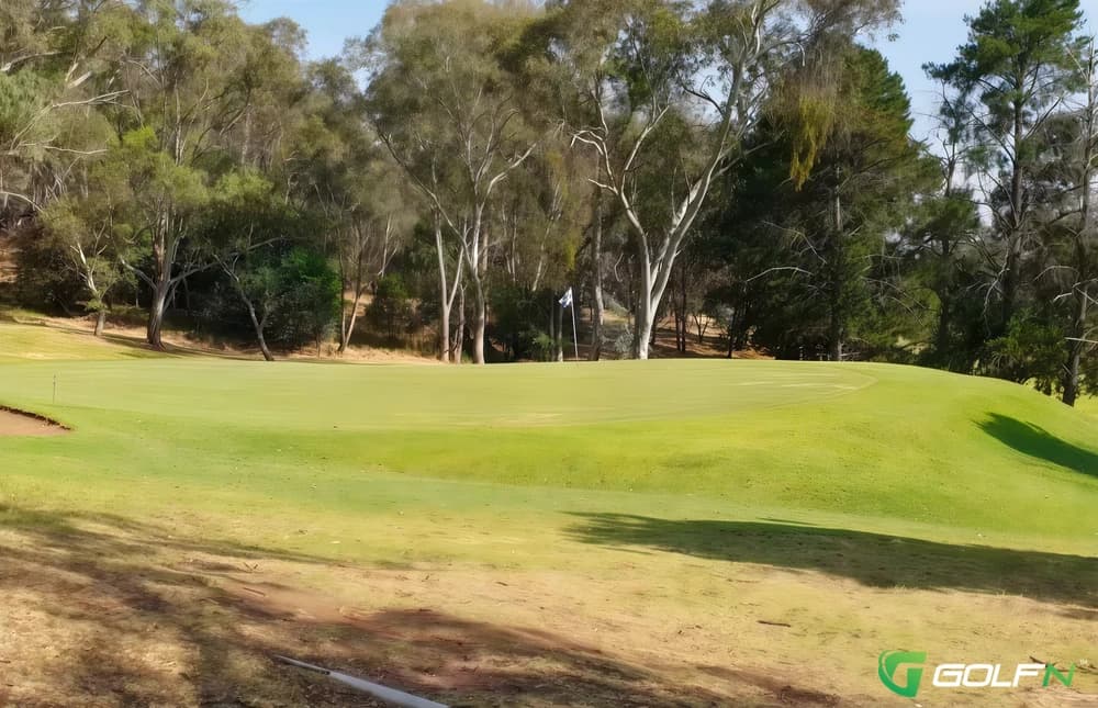 Cootamundra Golf And Country Club in Cootamundra, New South Wales β semi-private, 18-hole golf course
