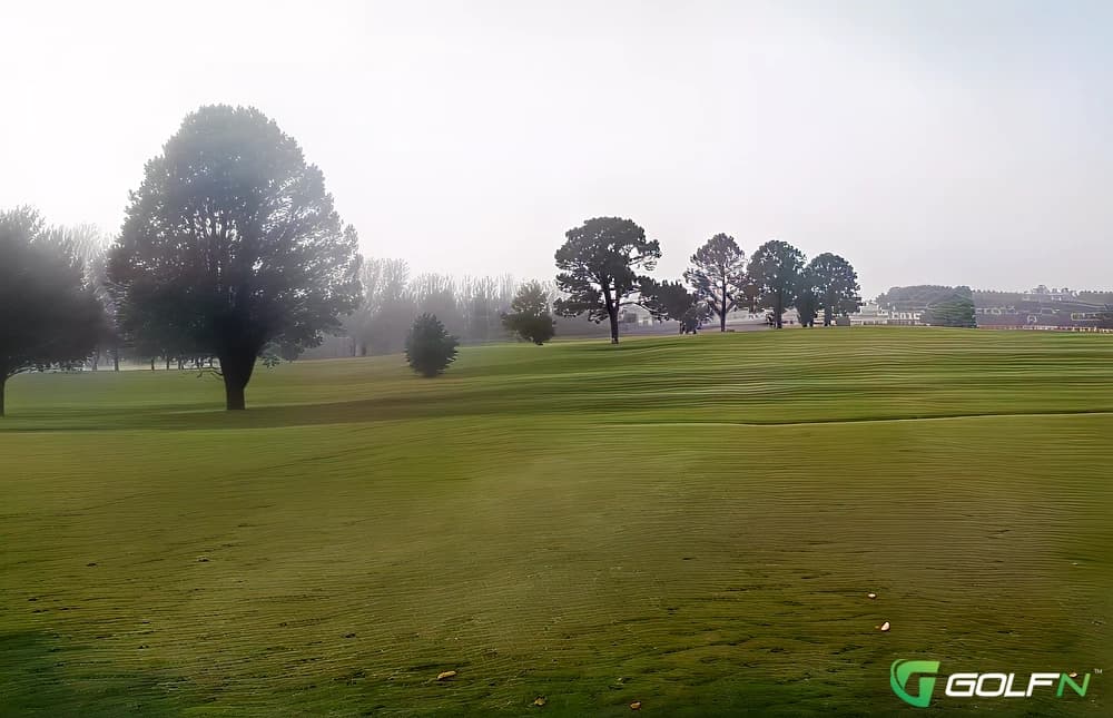 Walton Golf Club in Walton, Waikato β semi-private, 18-hole golf course