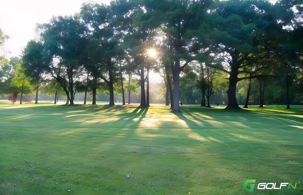 Beech Hollow Golf Course in Freeland, Michigan — public, 18-hole golf course, designed by Harry Gaiser (1969)