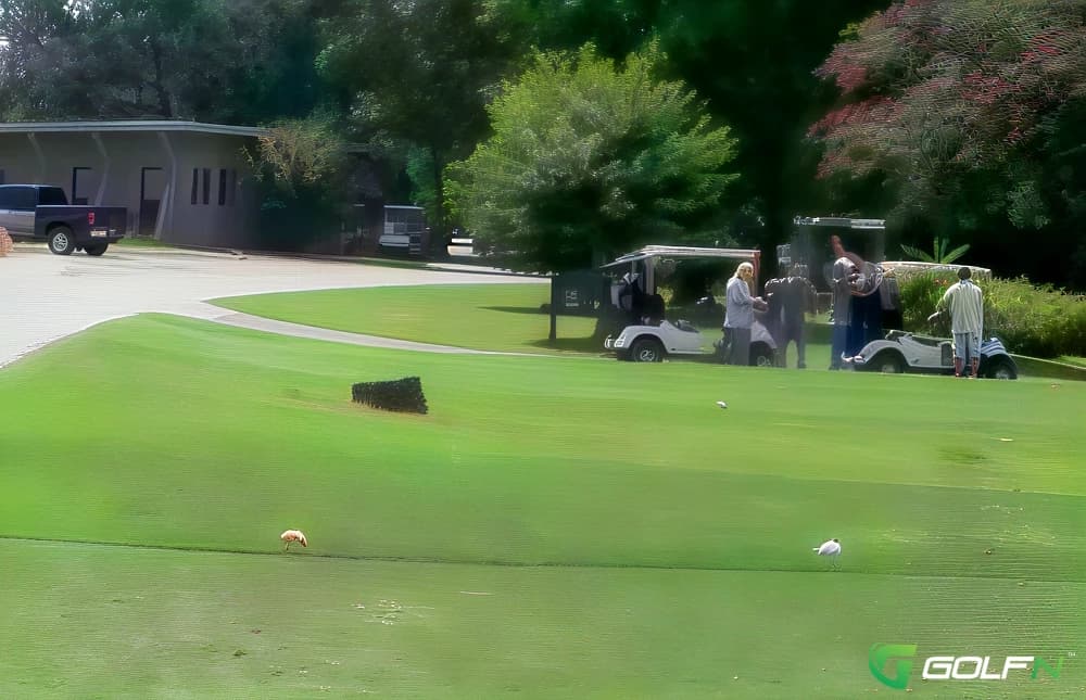 Coosa Pines Golf Club in Childersburg, Alabama — private, 18-hole golf course