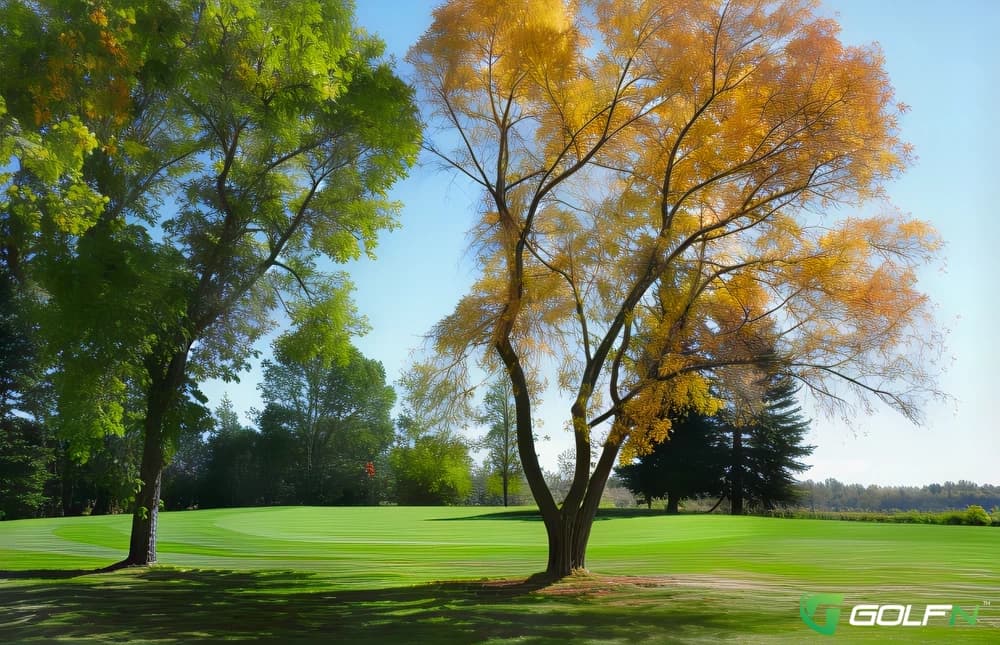 Lakeview Golf Course (Calgary) in Calgary, Alberta — public, 9-hole golf course, designed by Doug Thomson