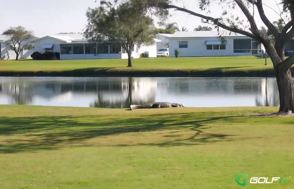 Leisureville Golf Course in Boynton Beach, Florida — private, 18-hole golf course