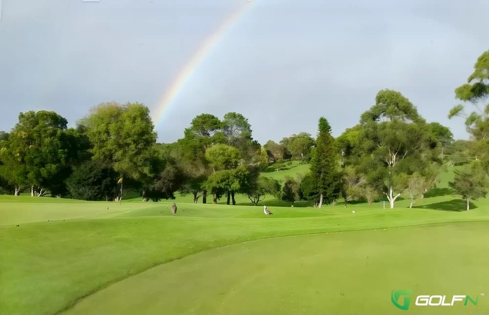 Sawtell Golf Club in Sawtell, New South Wales β public, 18-hole golf course
