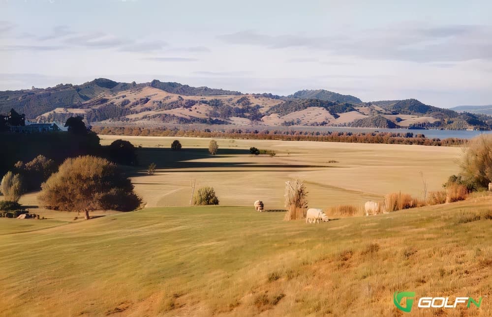Rawene Golf Club in Rawene, Northland β public, 18-hole golf course
