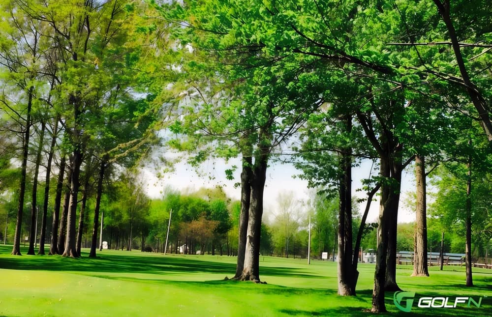 Regulation - Maple Grove Golf Club in Lambertville, Michigan — public, 27-hole golf course, designed by Richard Kimble