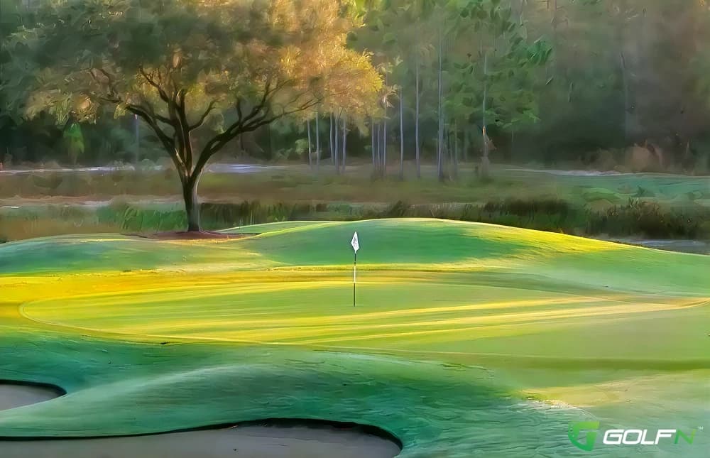 South - Shadow Wood Country Club in Bonita Springs, Florida — private, 18-hole golf course, designed by Bob Cupp (2000)