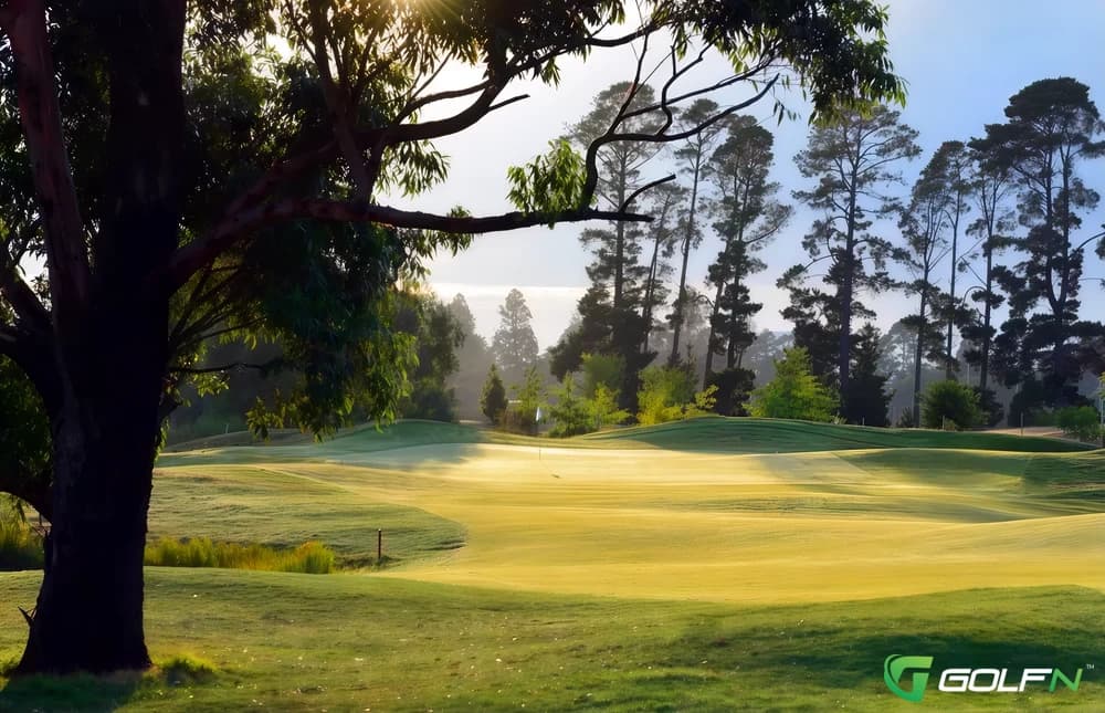 Ballarat Golf Club in Ballarat, Victoria β semi-private, 18-hole golf course, designed by Peter Thomson (2009)