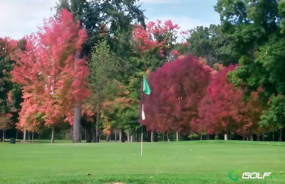 Ella Sharp Park Golf Course in Jackson, Michigan — public, 18-hole golf course, designed by Tom Bendelow