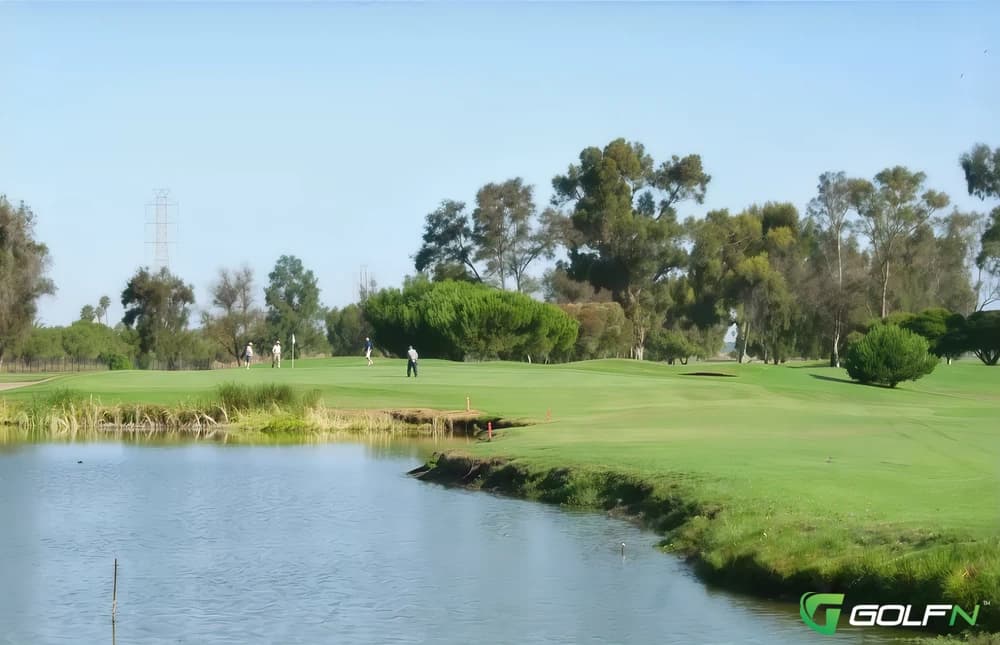 Right Green #14 - Baylands Golf Links in Palo Alto, California — public, 18-hole golf course, designed by William F. Bell (1956)