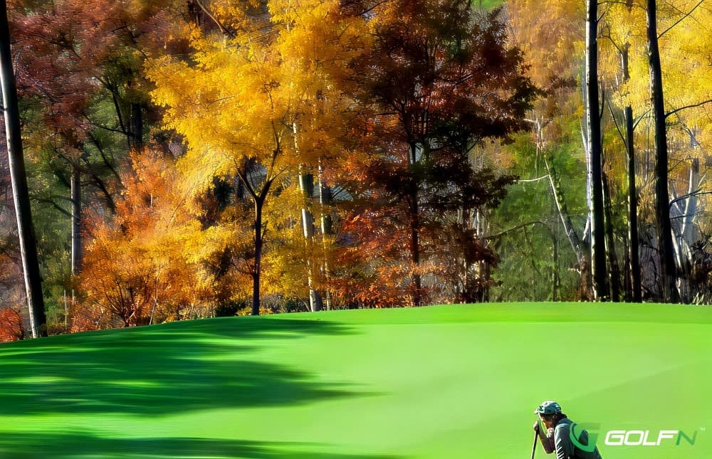 Lynx Golf Course in Otsego, Michigan — public, 18-hole golf course, designed by Charles Scott (1999)