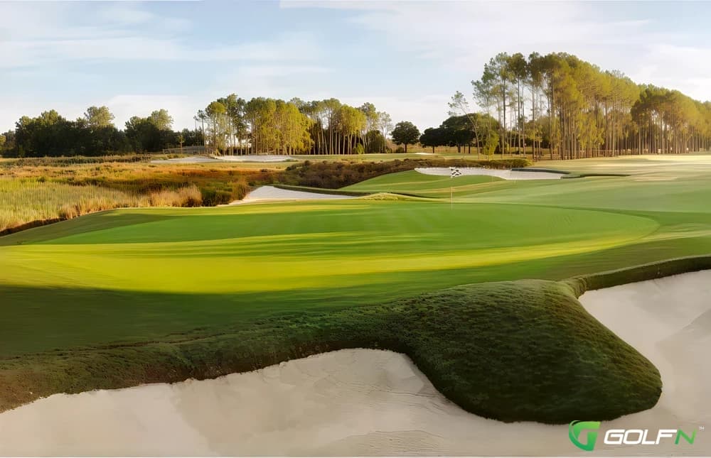 Old Memorial Golf Club in Tampa, Florida — private, 18-hole golf course, designed by Old Memorial Golf Club is a pure, undisturbed sanctuary of golf, where members and guests can get away from the hectic pace of life to enjoy friendly competition, the camaraderie of golfers from diverse backgrounds, and the free exchange of ideas.