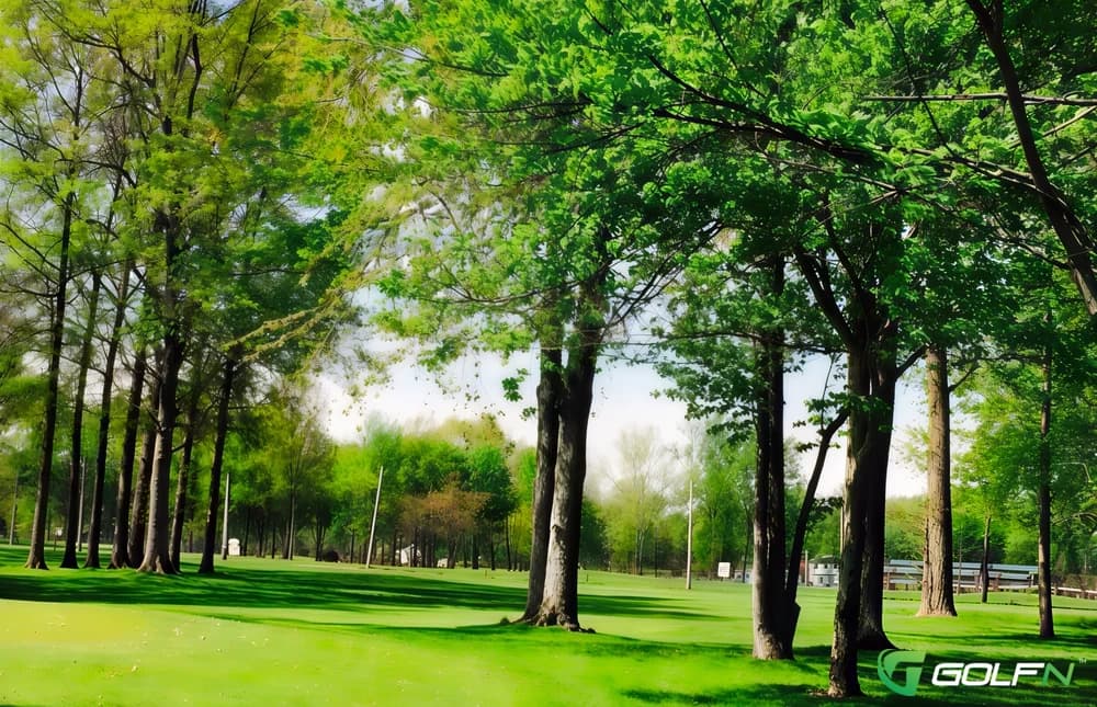 Executive - Maple Grove Golf Club in Lambertville, Michigan — public, 27-hole golf course, designed by Richard Kimble