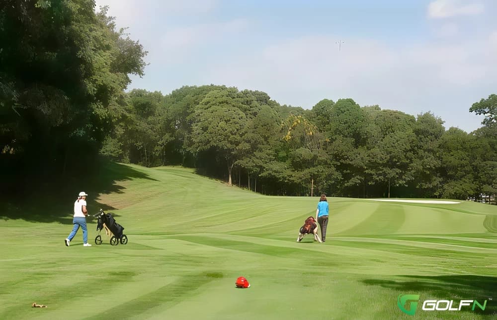 Bretton Woods Golf Course in Coram, New York — private, 9-hole golf course