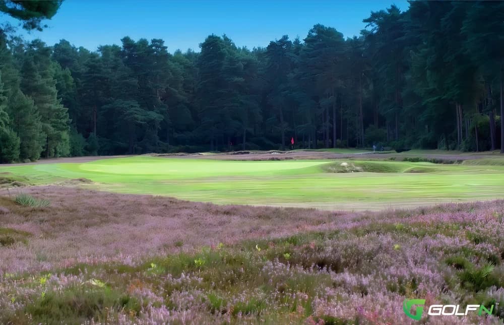 New Zealand Golf Club in Addlestone, England — private, 18-hole golf course, designed by Donald Steel