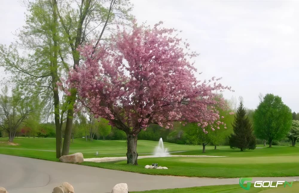 Ima Brookwood Golf Club in Burton, Michigan — public, 18-hole golf course, designed by Joe Zalogy