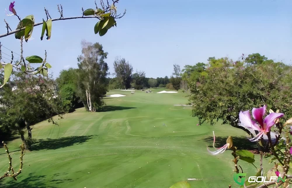 Family - The Links At Boynton Beach in Boynton Beach, Florida — public, 9-hole golf course, designed by Bruce Devlin (1984)