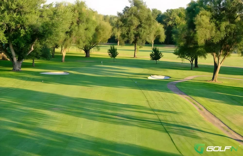 Shadowmoss Plantation Golf Club in Charleston, South Carolina — semi-private, 18-hole golf course, designed by H. Chandler Egan (1917)