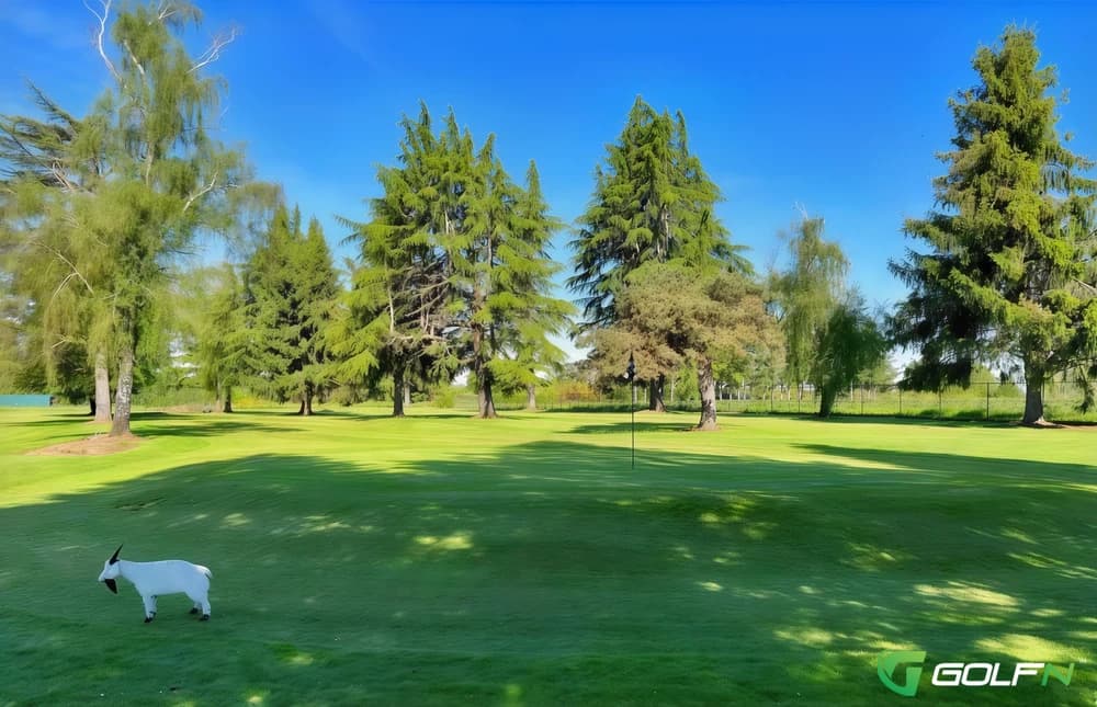 Frontier Golf Course in Canby, Oregon — public, 9-hole golf course, designed by Joe Sisul