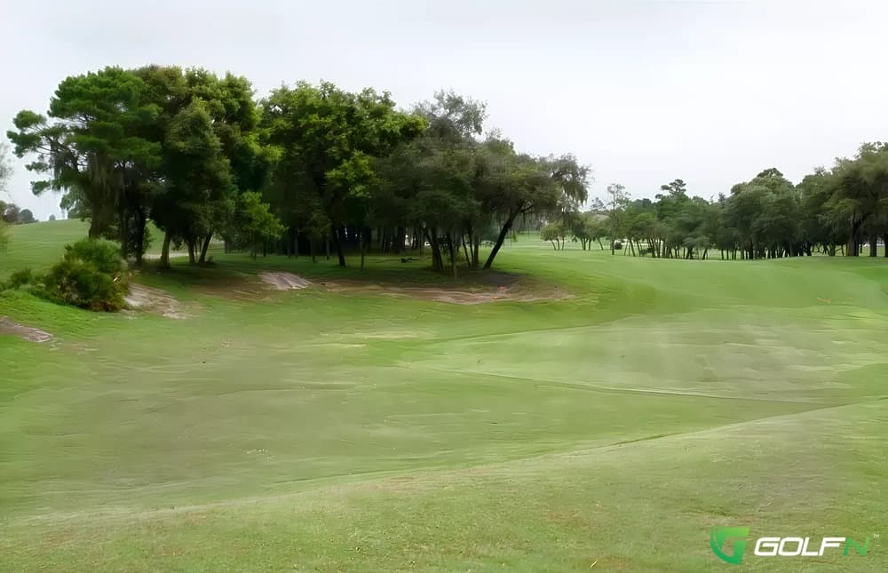 Links Golf Club in Hudson, Florida — public, 18-hole golf course, designed by Steve Smyers (1989)