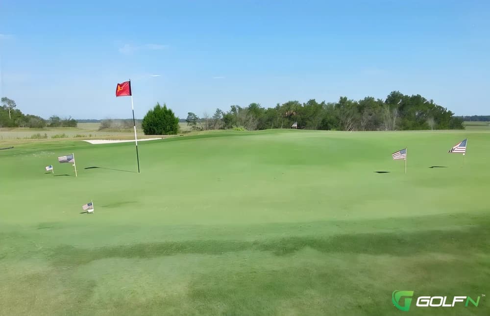 Golf Club At Briars Creek in John's Island, South Carolina — private, 18-hole golf course, designed by Rees Jones (2001)