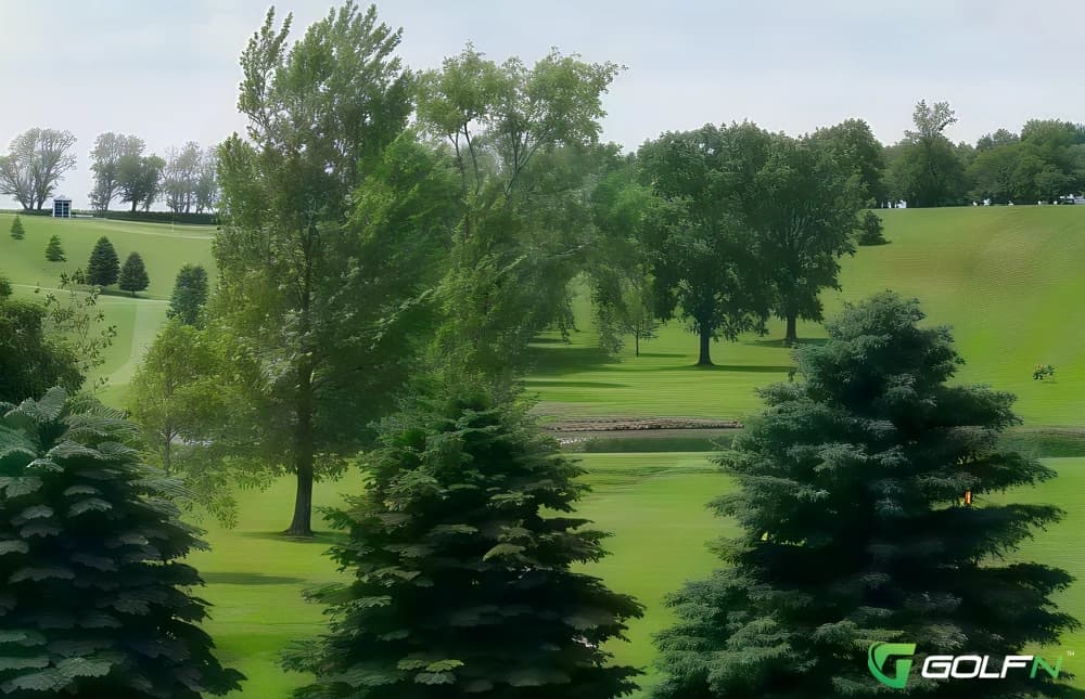 Pines - Canadian Lakes Country Club in Stanwood, Michigan — private, 9-hole golf course