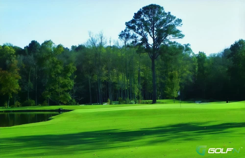 The Pines At Elizabeth City in Elizabeth City, North Carolina — semi-private, 18-hole golf course, designed by Tom Clark (2004)