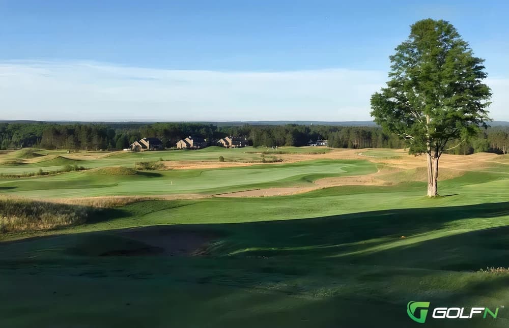 Black Bear Golf Club in Parker, Colorado — public, 18-hole golf course, designed by Mark Sauger