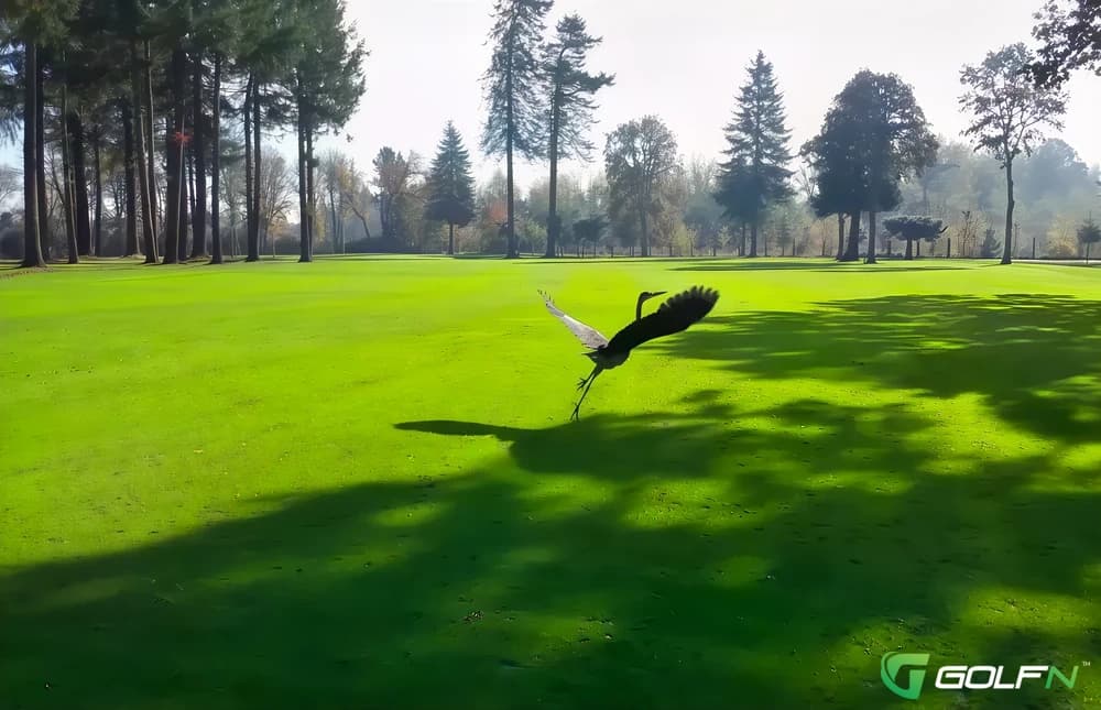 Killarney West Golf Course in Hillsboro, Oregon — public, 18-hole golf course, designed by Hank Van Grunsven (1979)