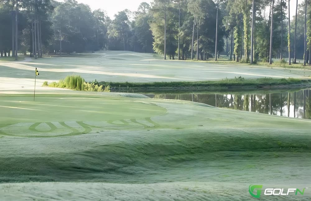 Georgia Veterans Memorial At Lake Blackshear Resort And Golf Club in Cordele, Georgia — public, 18-hole golf course, designed by Denis Griffiths (1990)