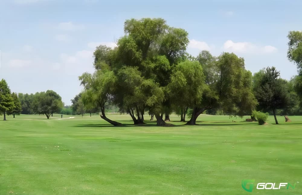 Sugarland Country Club in Raceland, Louisiana — semi-private, 18-hole golf course