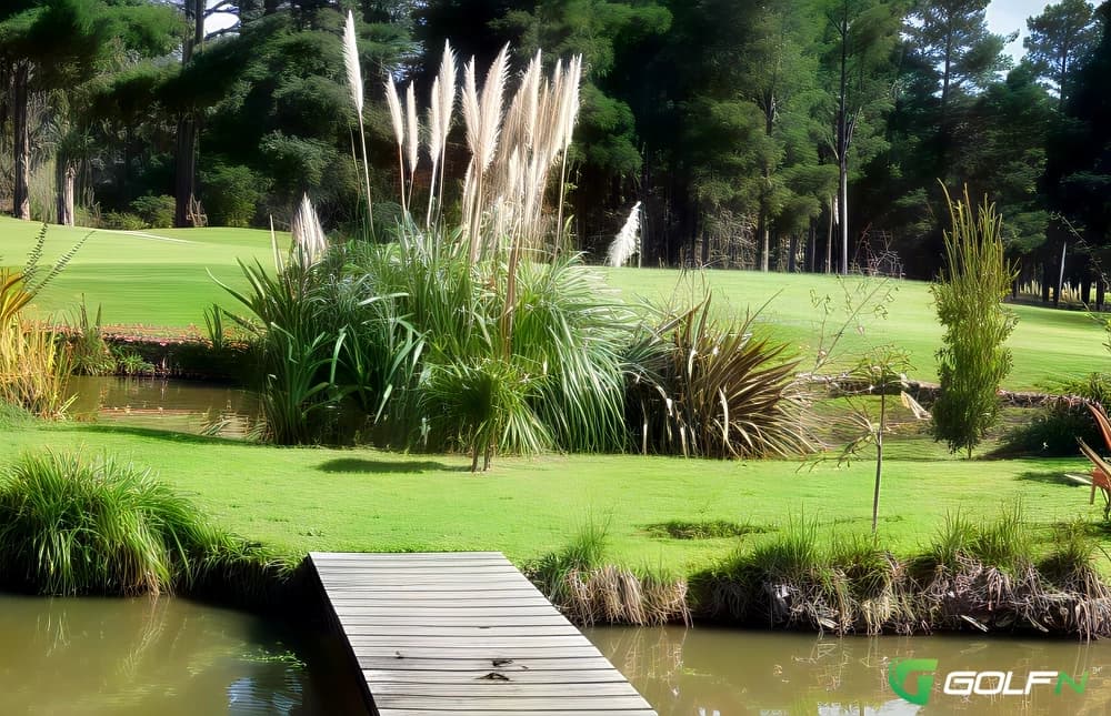 Trentham Camp Golf Club in Upper Hutt, Wellington β public, 18-hole golf course