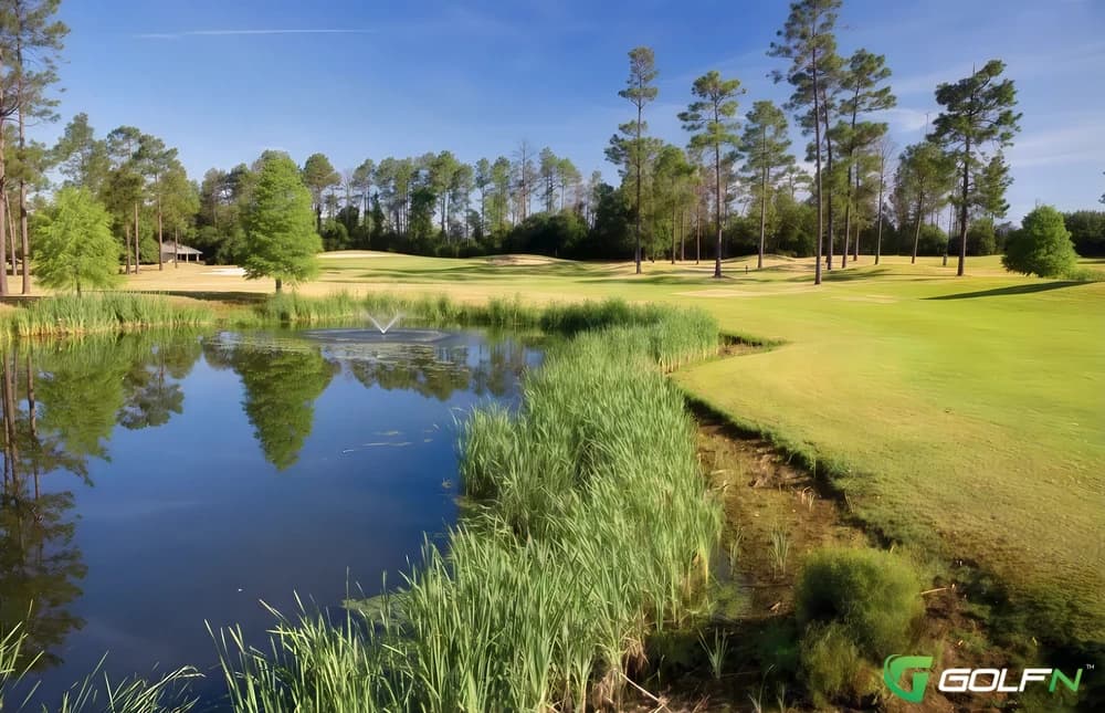 Pines - Timbercreek Golf Club in Daphne, Alabama — public, 27-hole golf course, designed by Earl Stone