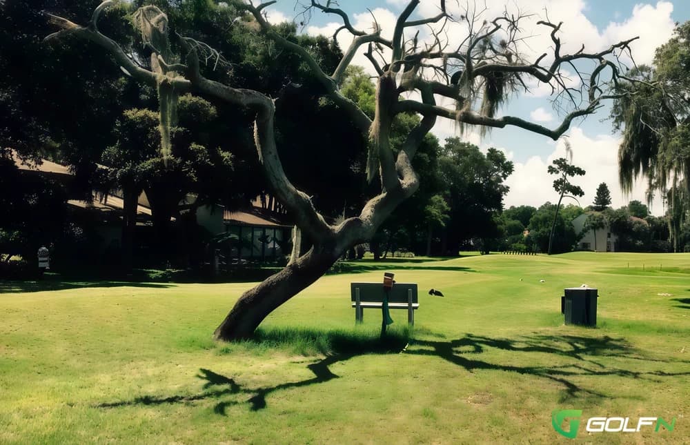 Bird Bay Executive Golf Course in Venice, Florida — public, 18-hole golf course, designed by Ron Garl
