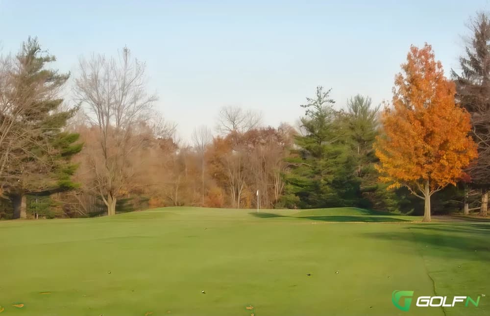 Elyria - Forest Hills Golf Course in Elyria, Ohio — public, 18-hole golf course, designed by Conditions
Good
Value
Excellent
Layout
Average
Friendliness
Average
Pace
Good
Amenities
Average
Difficulty
Moderate