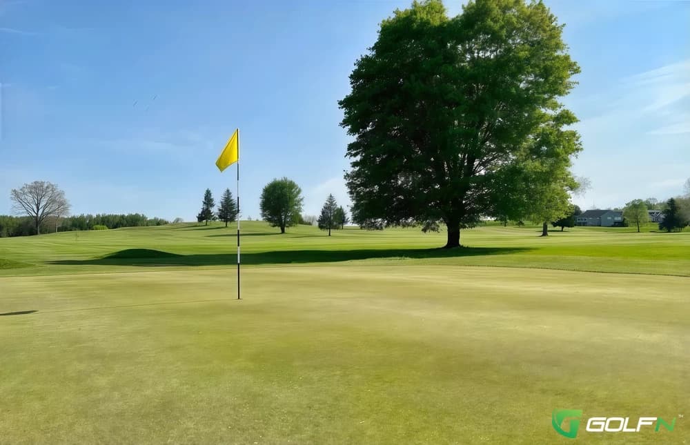 Vernon View Golf Course in Mount Vernon, Ohio — public, 18-hole golf course, designed by Book a Tee Time at 
           

             Vernon View Golf Course 
           

             Powered by GolfNow.com 
           


Book a Tee Time