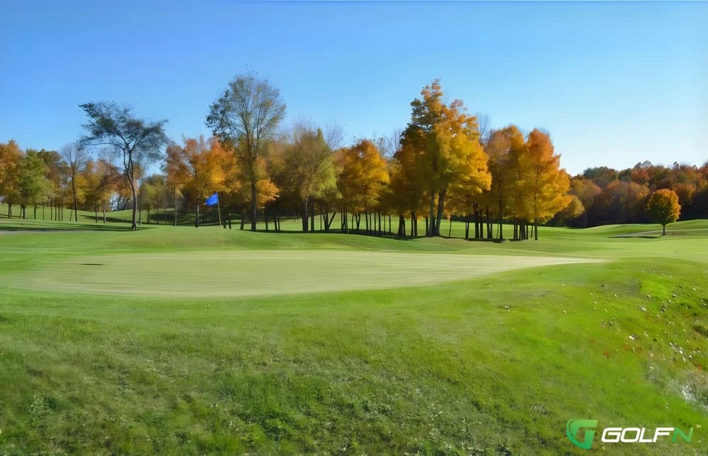 Wild Marsh Golf Club in Buffalo, Minnesota — public, 18-hole golf course, designed by Graham Marsh (2000)