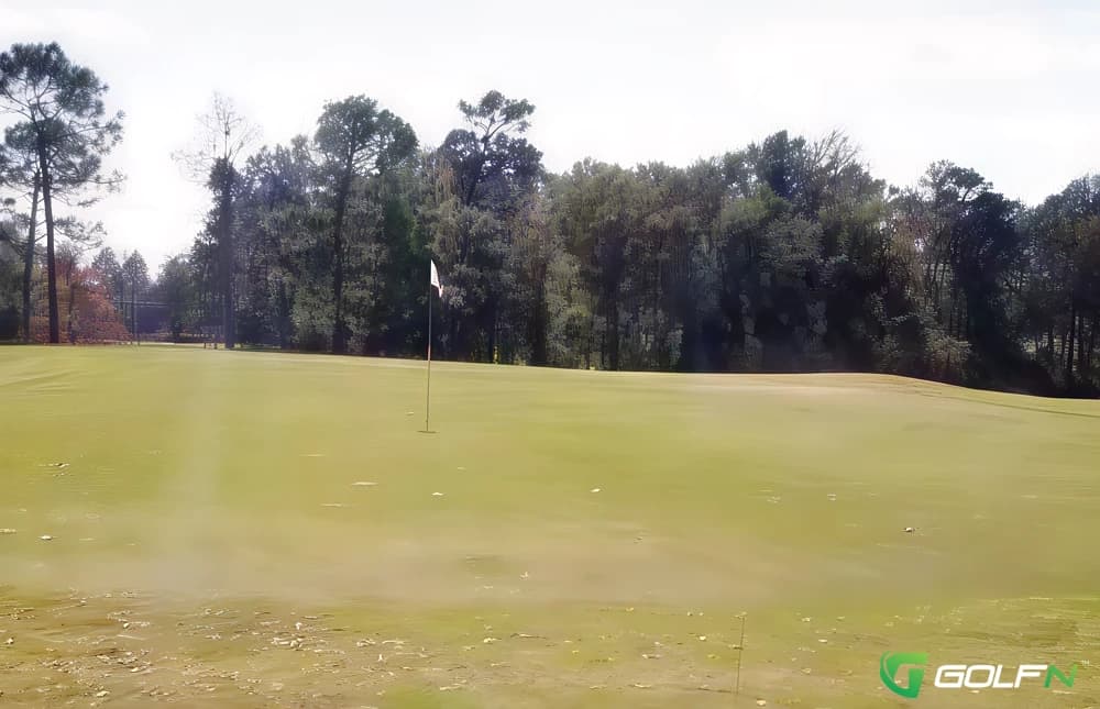Pine Burr Country Club in Wiggins, Mississippi — public, 18-hole golf course, designed by Earl Stone