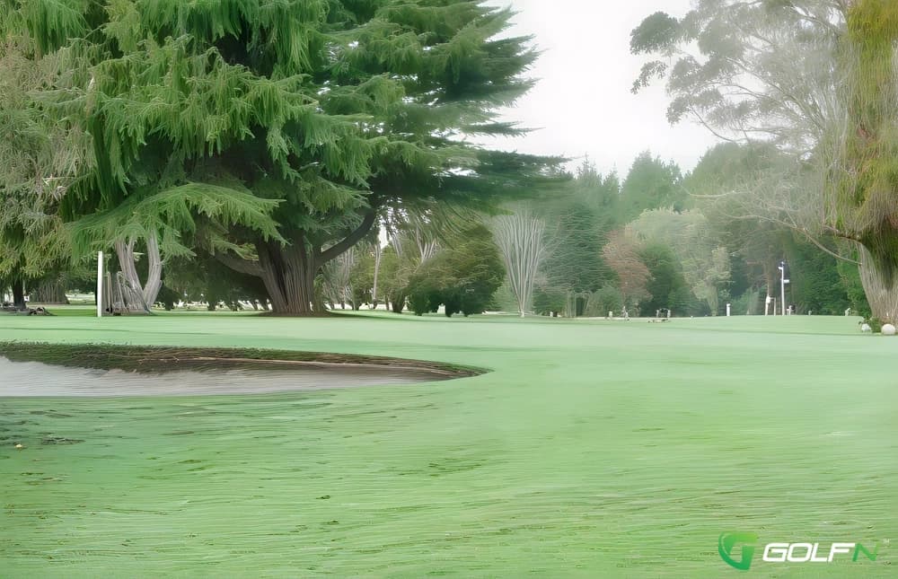 Huntly Golf Club Inc. in Huntly, Waikato β semi-private, 18-hole golf course