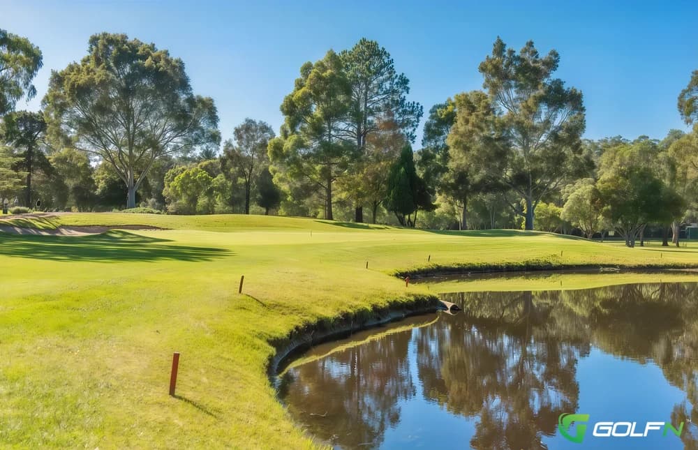 Waiuku Golf And Squash Club Inc in Waiuku, Auckland β public, 18-hole golf course