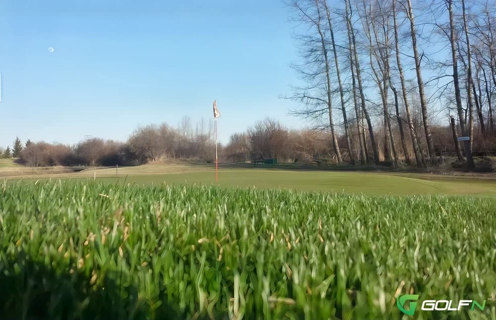 Dark Horse Golf Course in Eckville, Alberta — public, 9-hole golf course