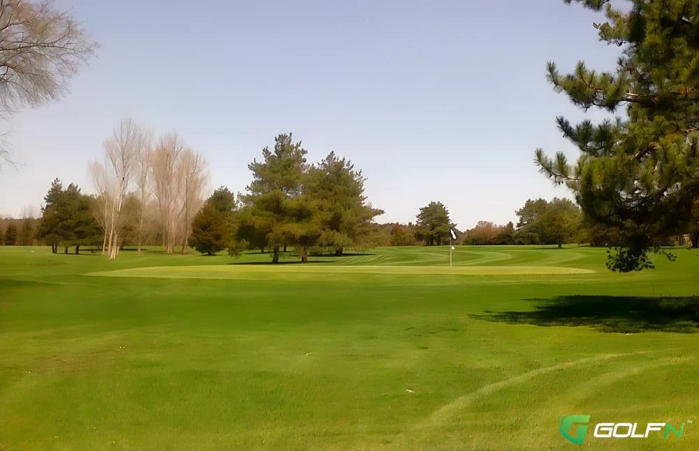 Gold - Yankee Springs Golf Course in Wayland, Michigan — public, 27-hole golf course