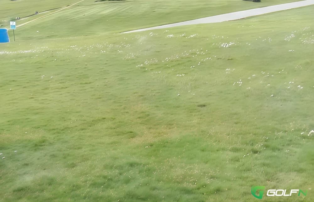 Coquille Valley Elks in Coquille, Oregon — private, 9-hole golf course, designed by Clarence Sutton