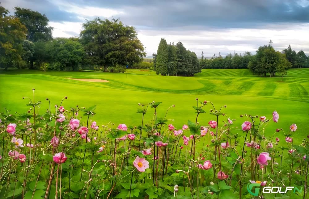 Naas Golf Club in Naas, Kildare — semi-private, 18-hole golf course, designed by Jeff Howes (2003)