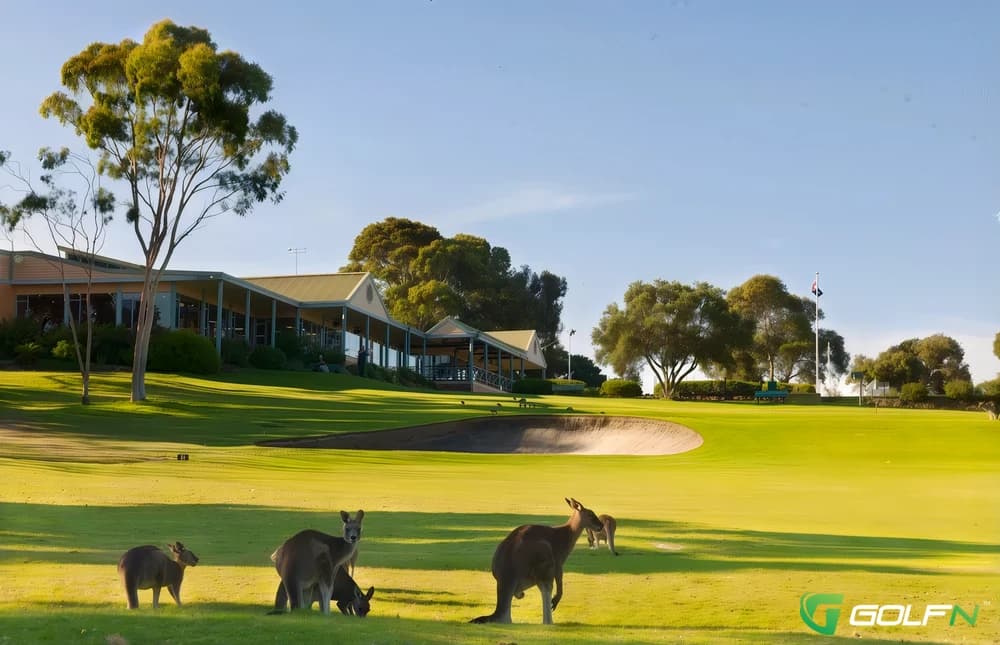 Woodburn - Evans Head Golf Club in Woodburn, New South Wales — public, 18-hole golf course, designed by Bob Shearer