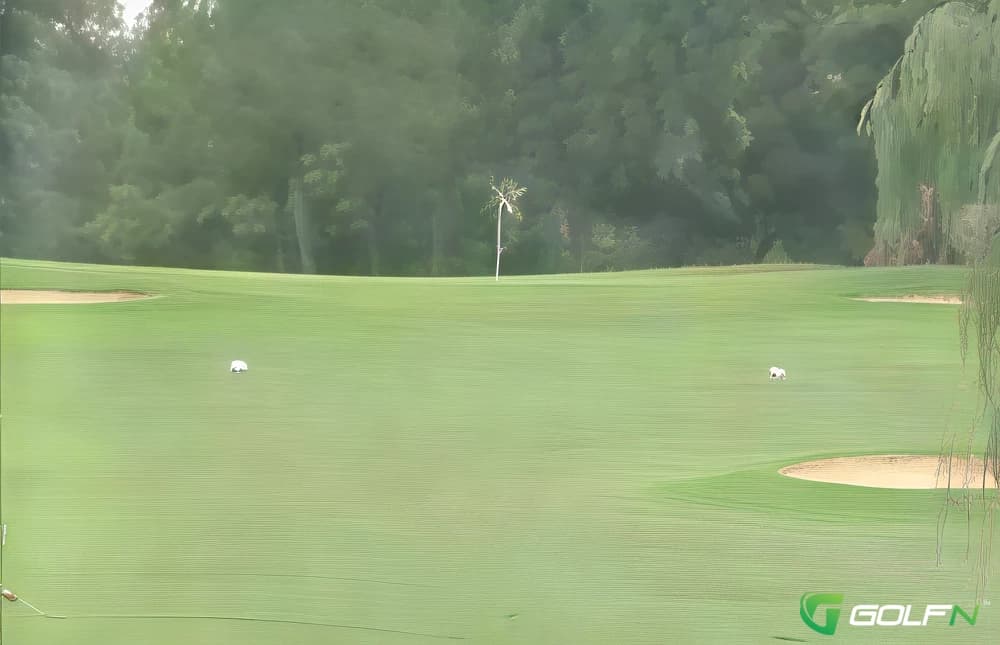 Mountaineers Woodview Golf Course in New Cumberland, West Virginia — public, 18-hole golf course, designed by Burel Berry