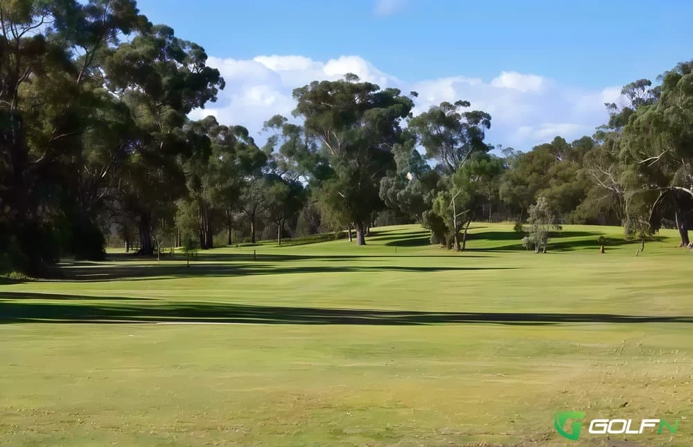 Tanilba Bay Golf Club in Tanilba Bay, New South Wales β public, 18-hole golf course