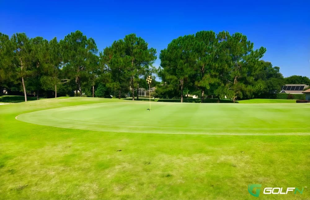 Country Club Of Mount Dora in Mount Dora, Florida — semi-private, 18-hole golf course, designed by Clifton, Ezell & Clifton (1991)