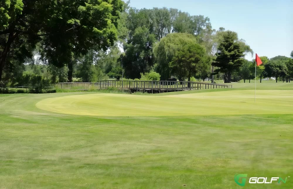 Executive - Giant Oak Golf Club in Temperance, Michigan — semi-private, 27-hole golf course, designed by Arthur Hills (1969)