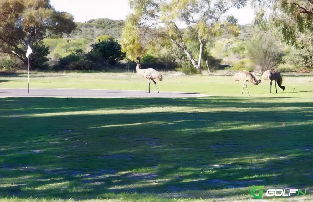 Cervantes Golf Club in Cervantes, Western Australia β public, 18-hole golf course