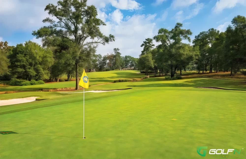 Silver - The Georgia Club in Statham, Georgia — public, 27-hole golf course, designed by Denis Griffiths (2001)